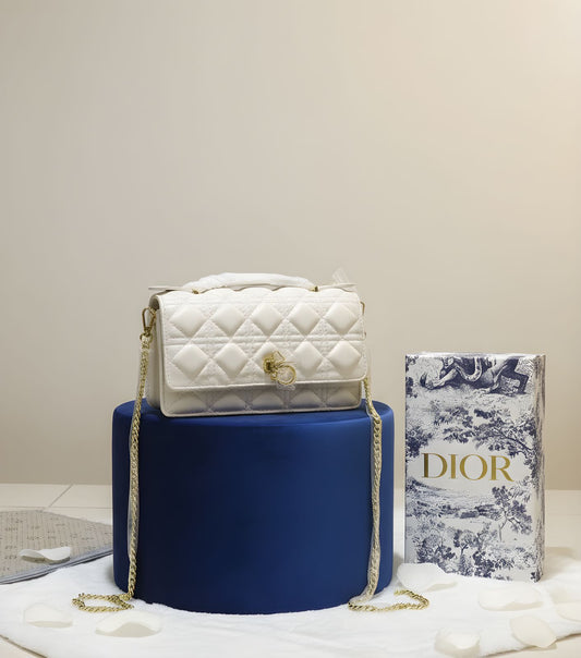 DIOR SHOLDEE BAG